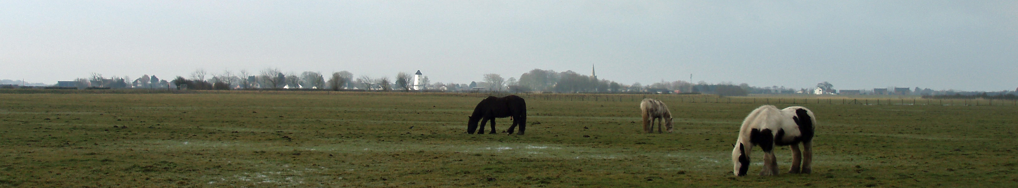 Towards Pilling from Lane Ends