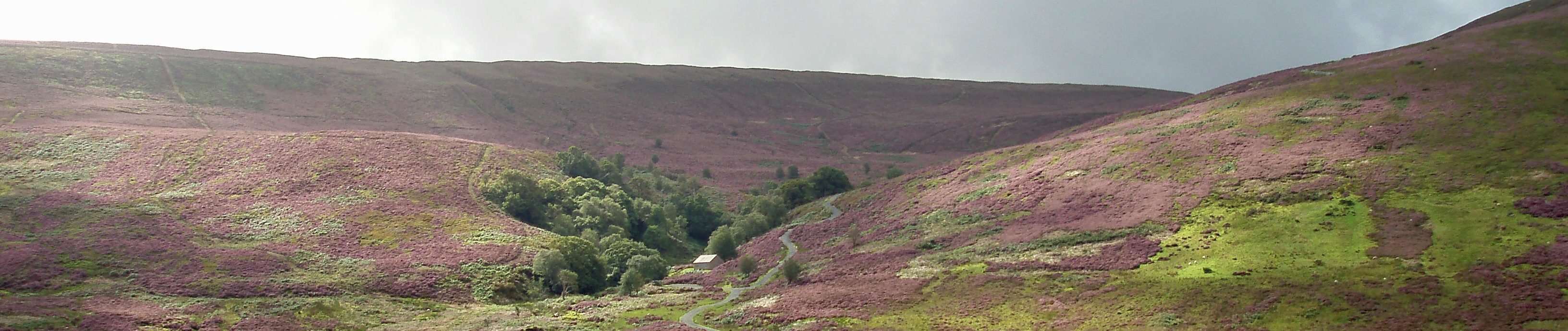 black clough