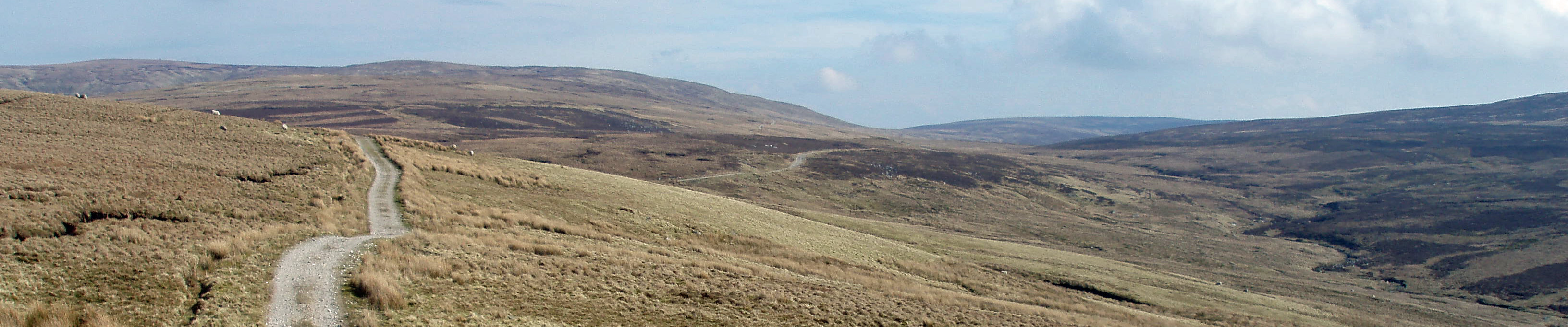 head of Roeburndale