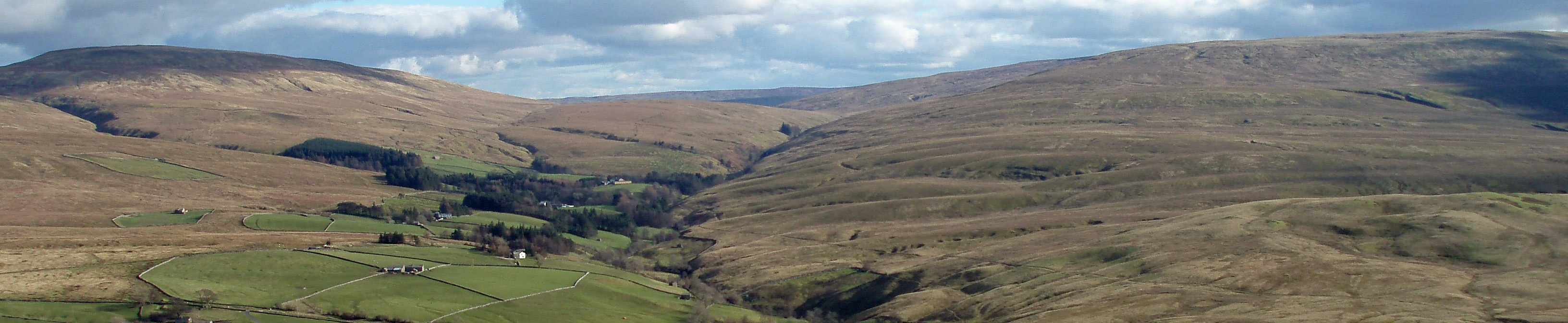 Swarth Fell and Baugh Fell