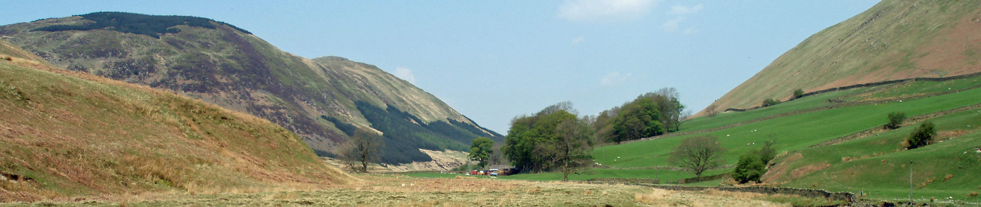 Low Borrowdale