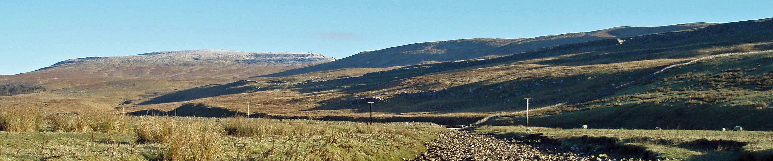 Kingsdale