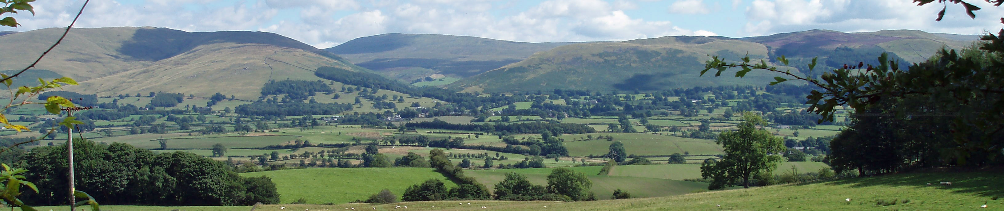 Barbondale from near Old Town