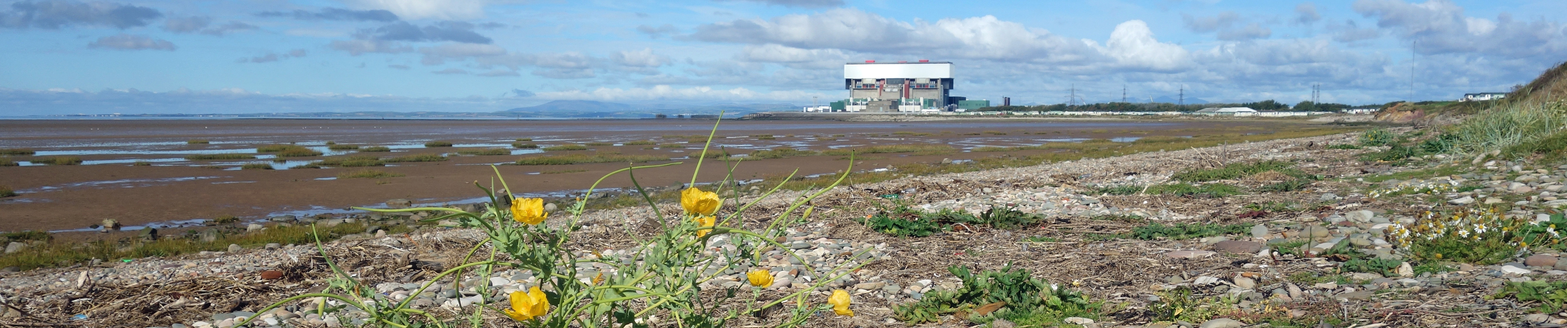Middleton Sands
