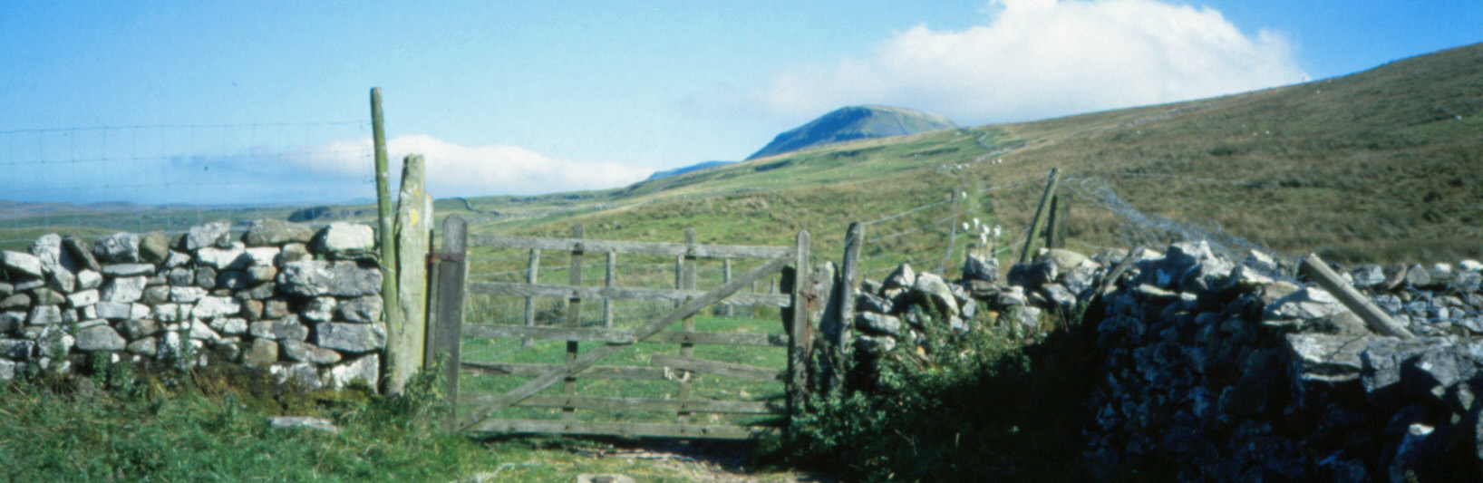 On the way to Pen-y-ghent