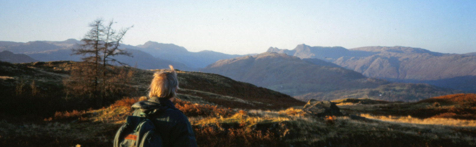 Bowfell and Langdale Pikes from Black Crag