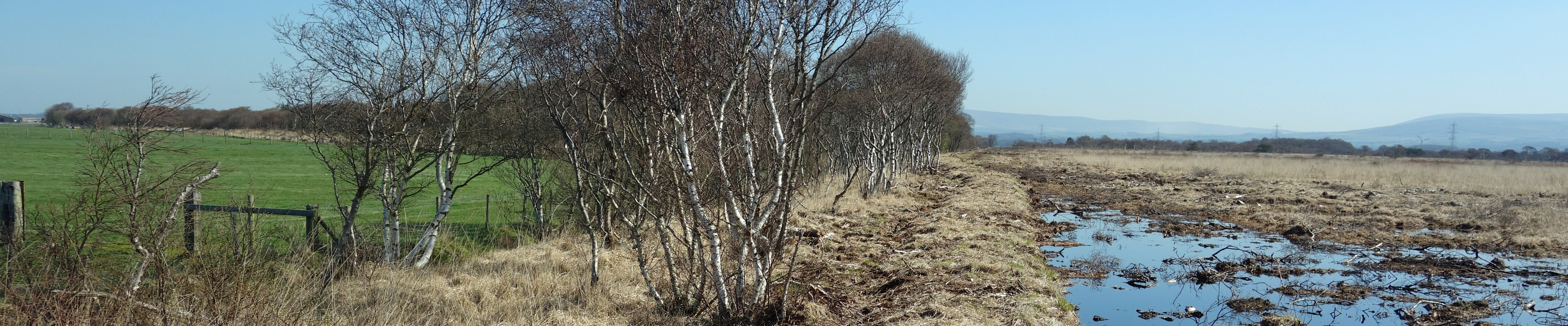 Winmarleigh Moss