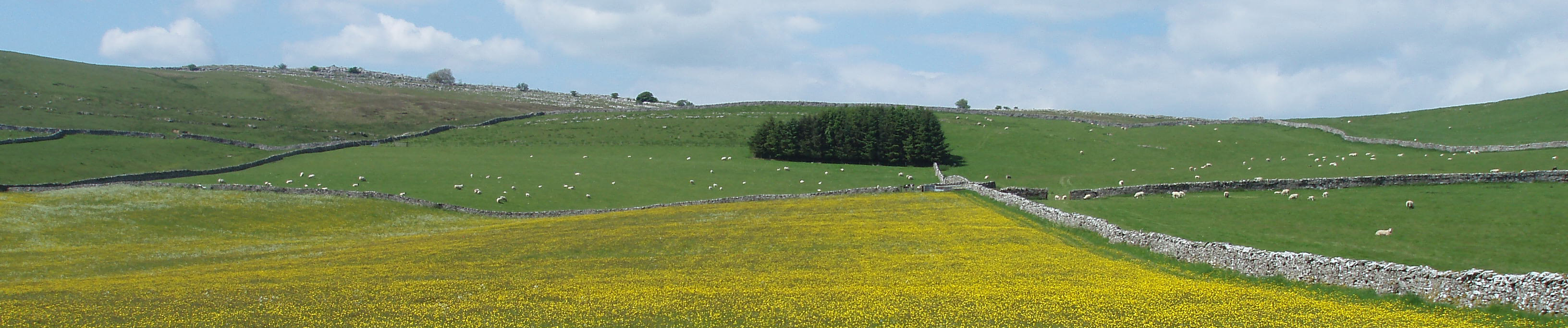 Below Great Asby Scar