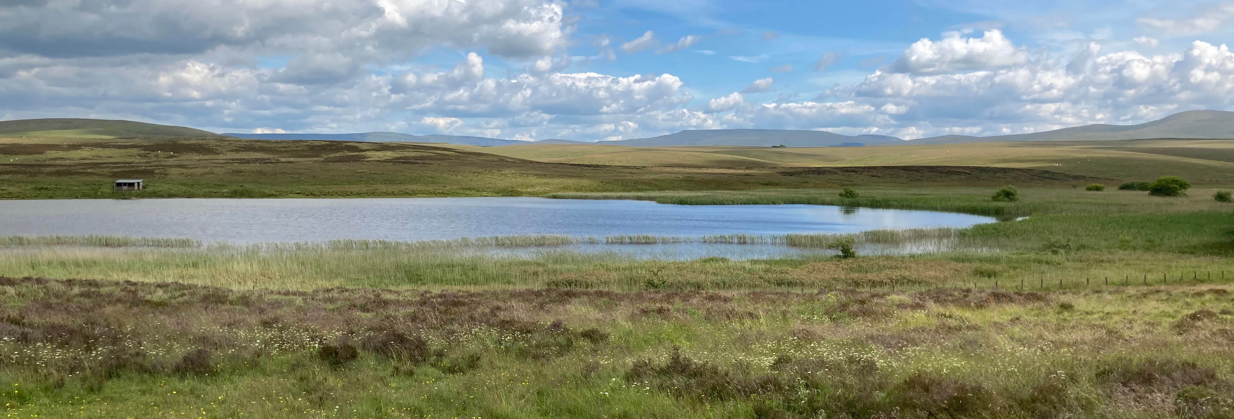 Sunbiggin Tarn