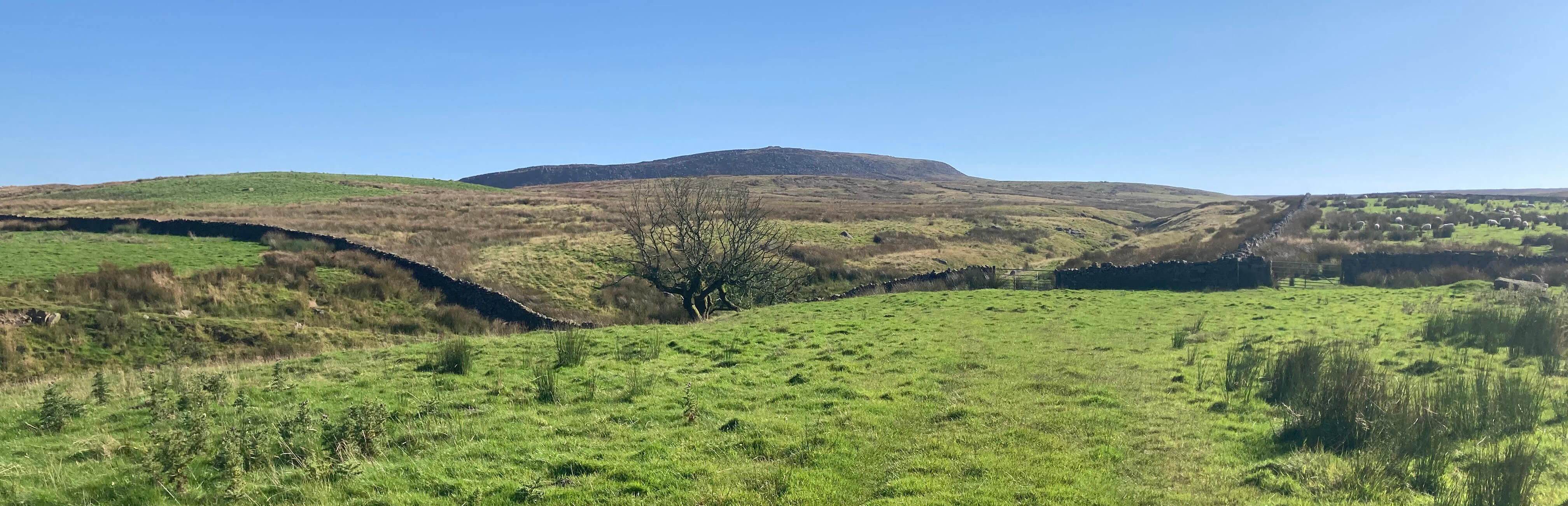 Approaching Clougha Pike1