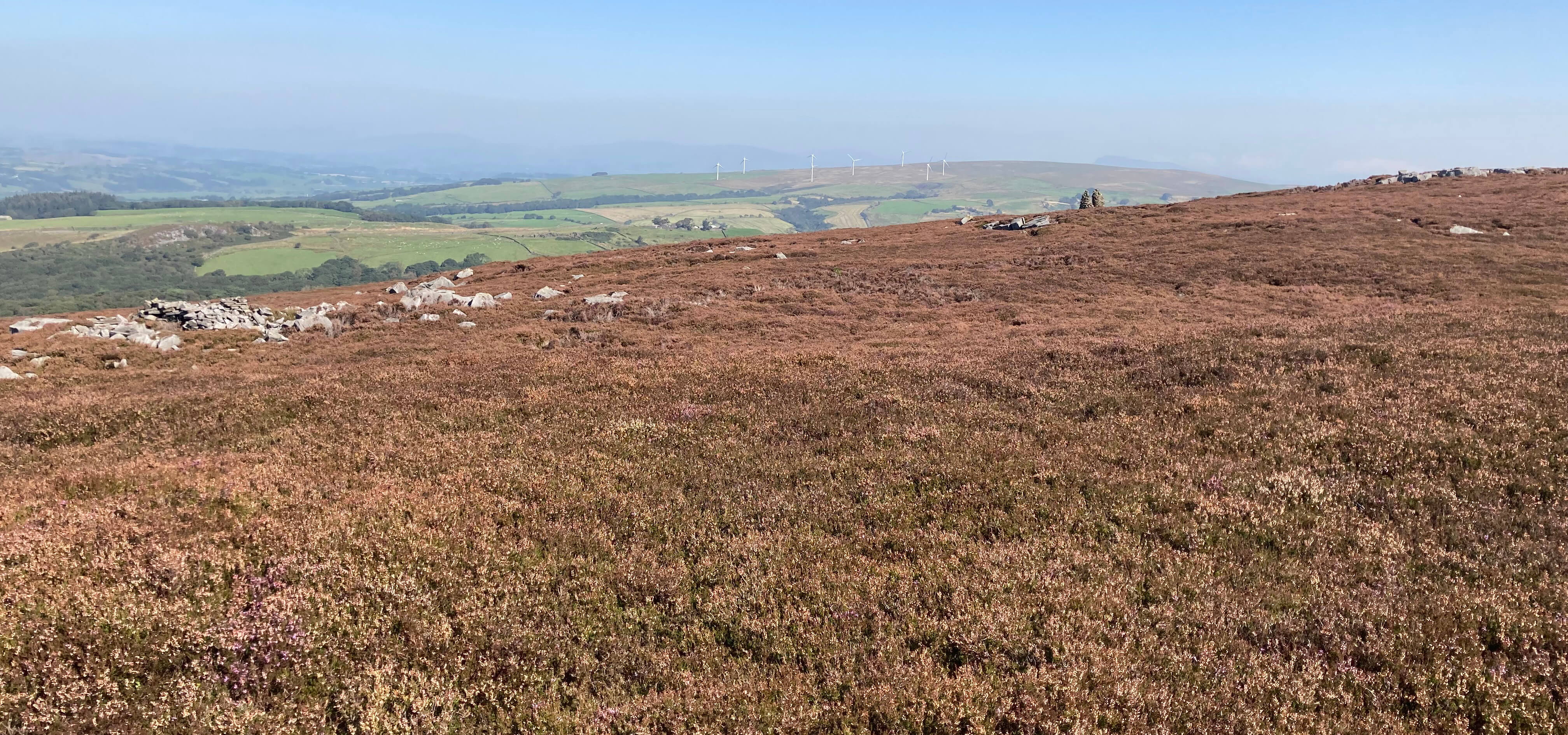 heather path