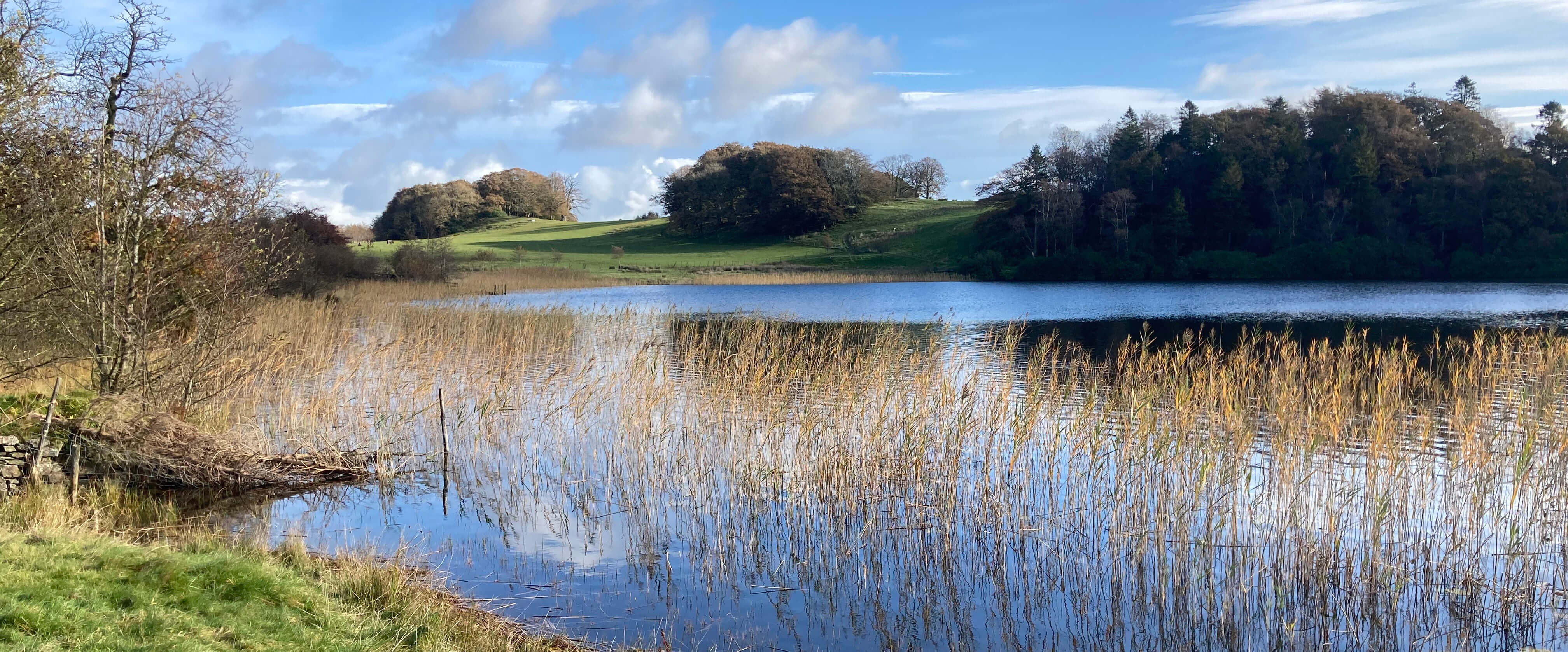 Bigland Tarn