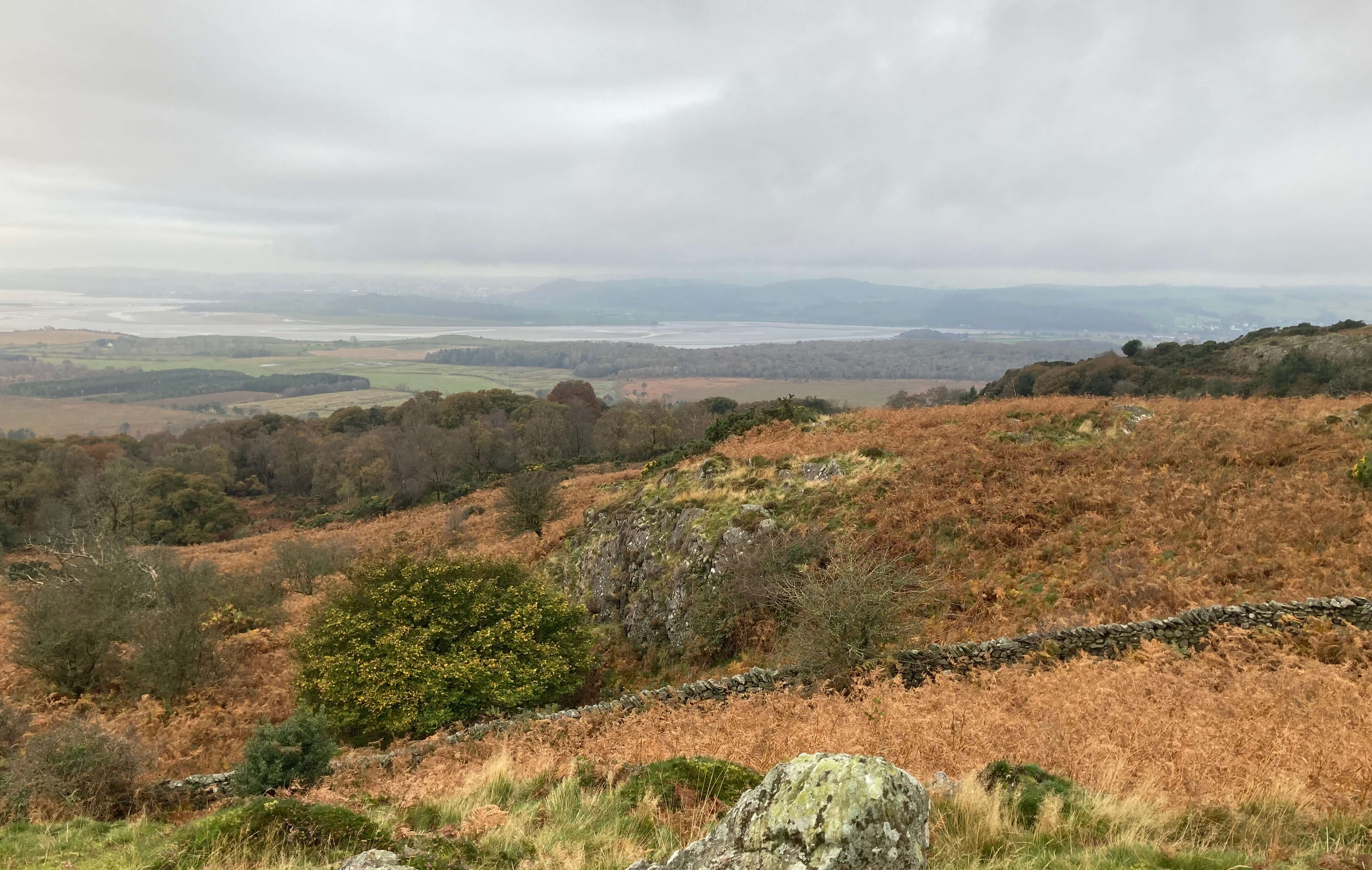 leven estuary