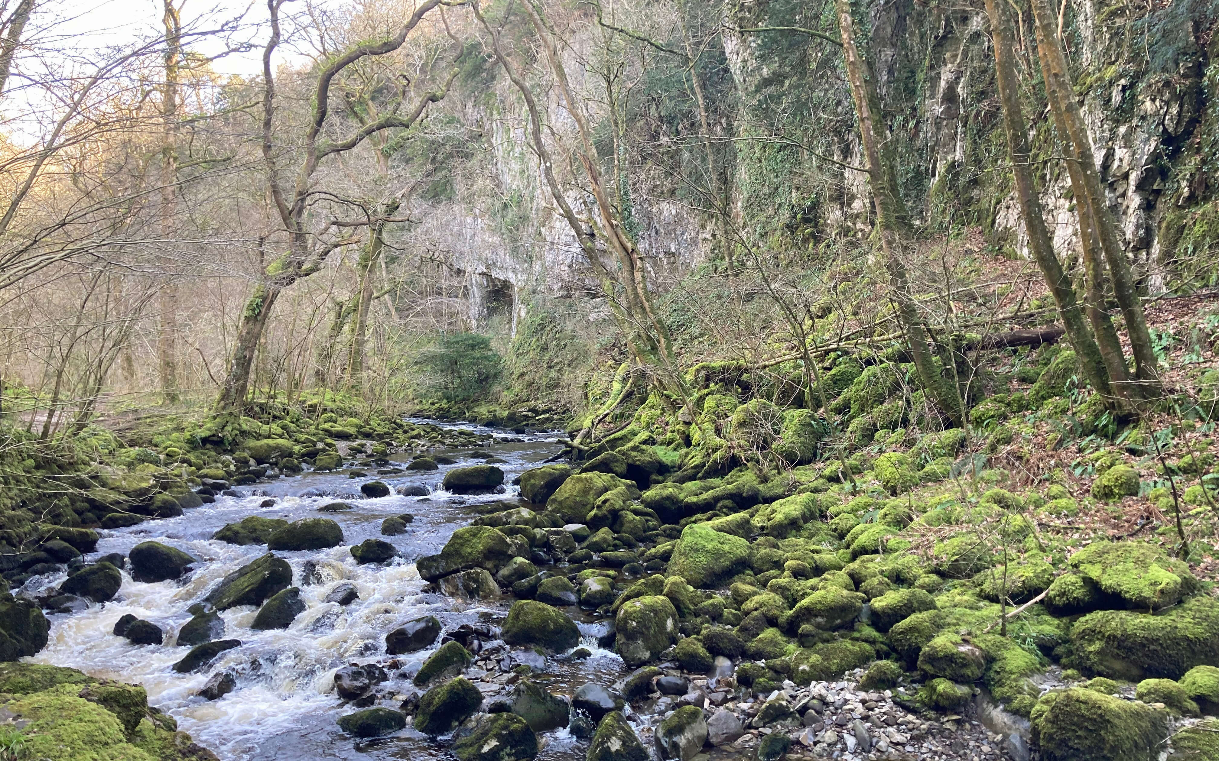 Swilla Glen