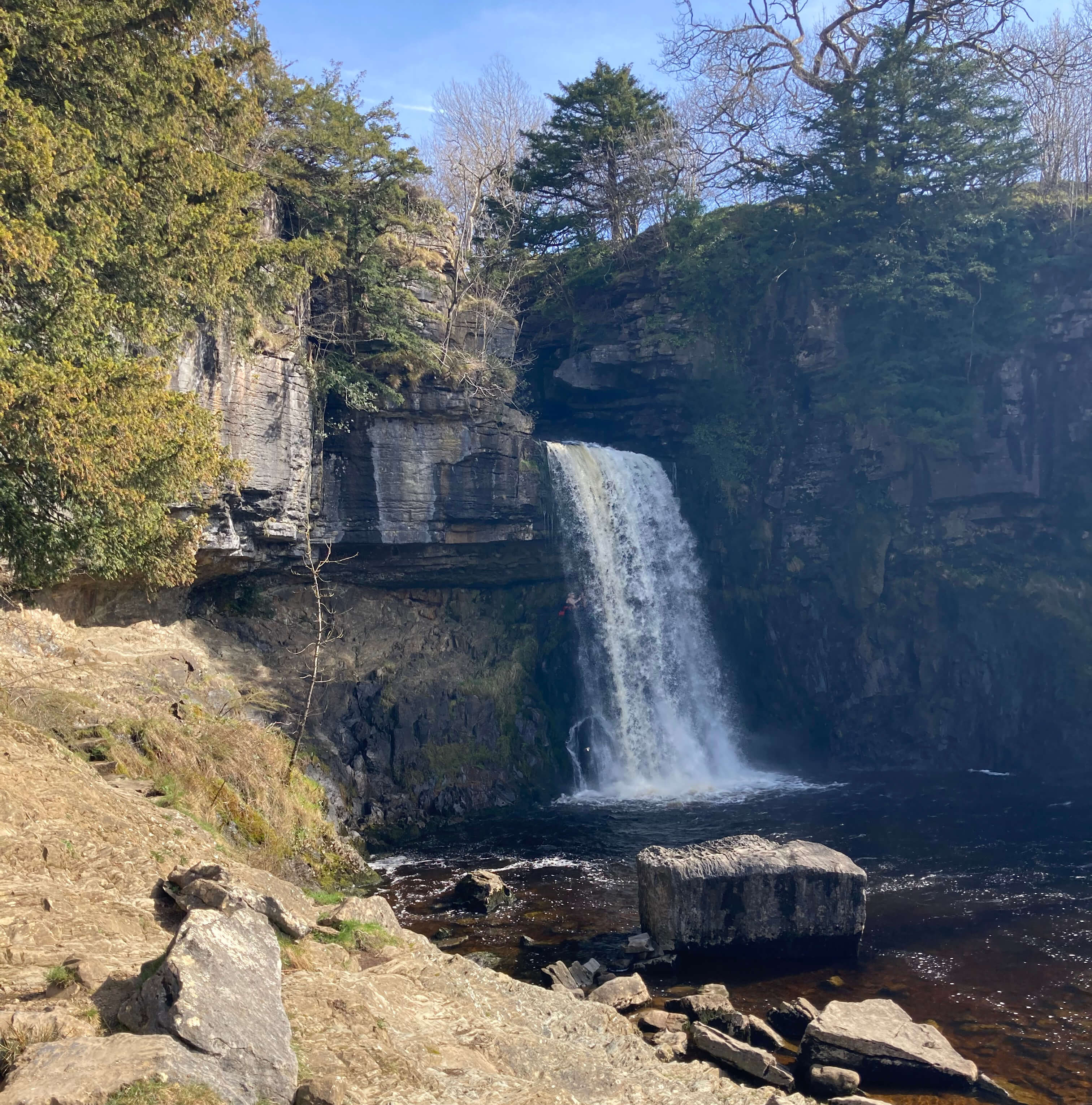 Thornton Force