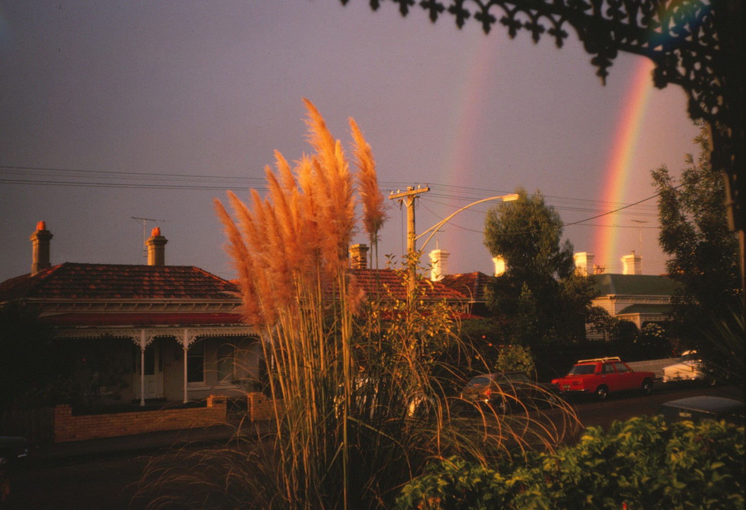 oz rainbow