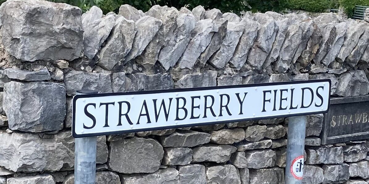 strawberry fields