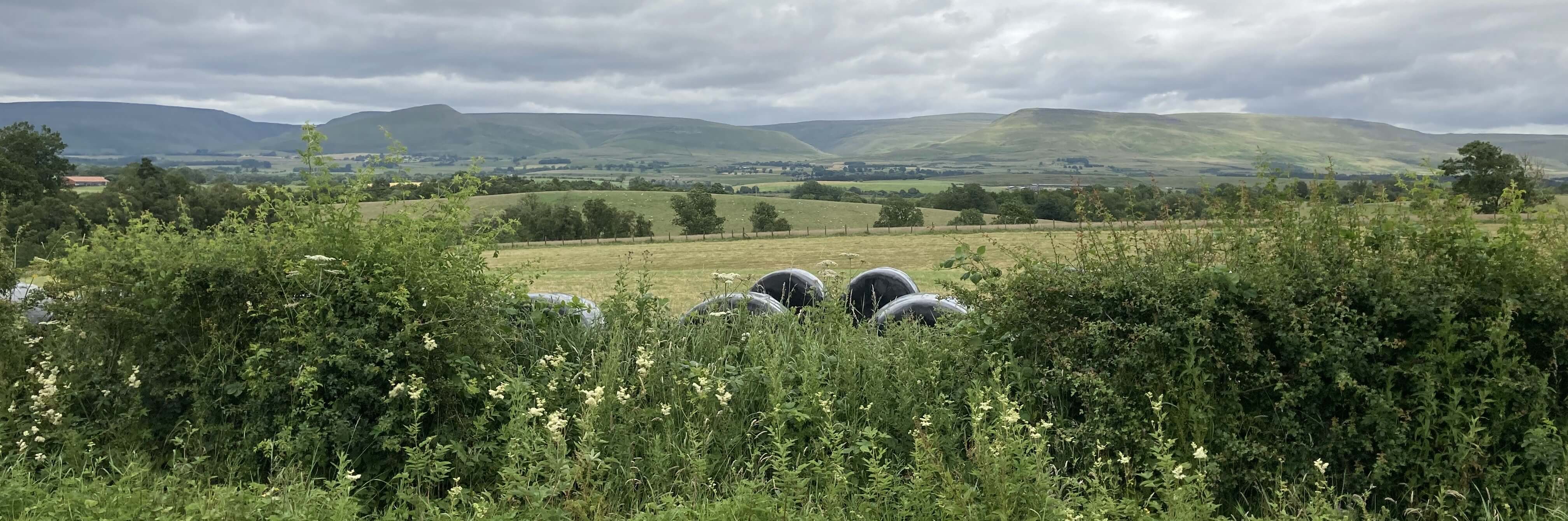 pennines