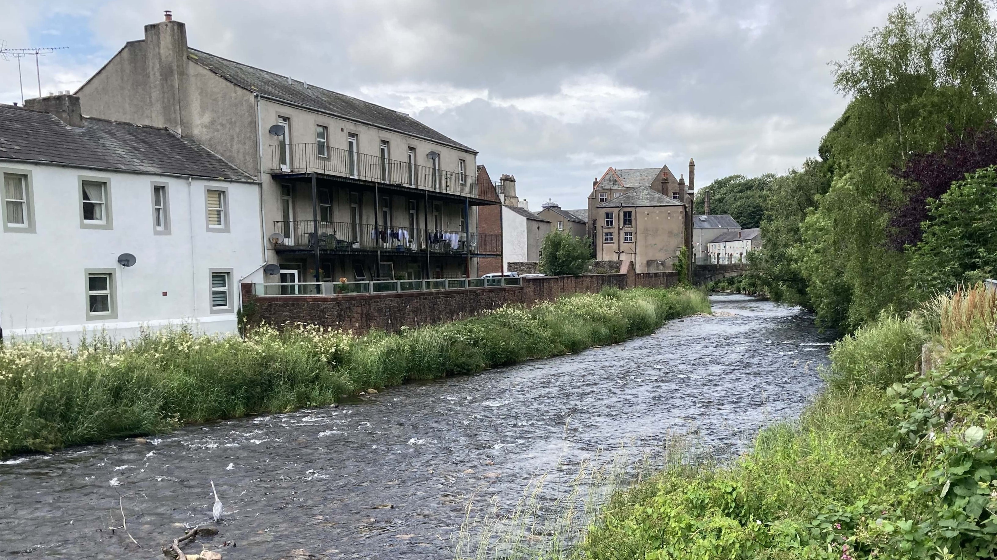 river cocker