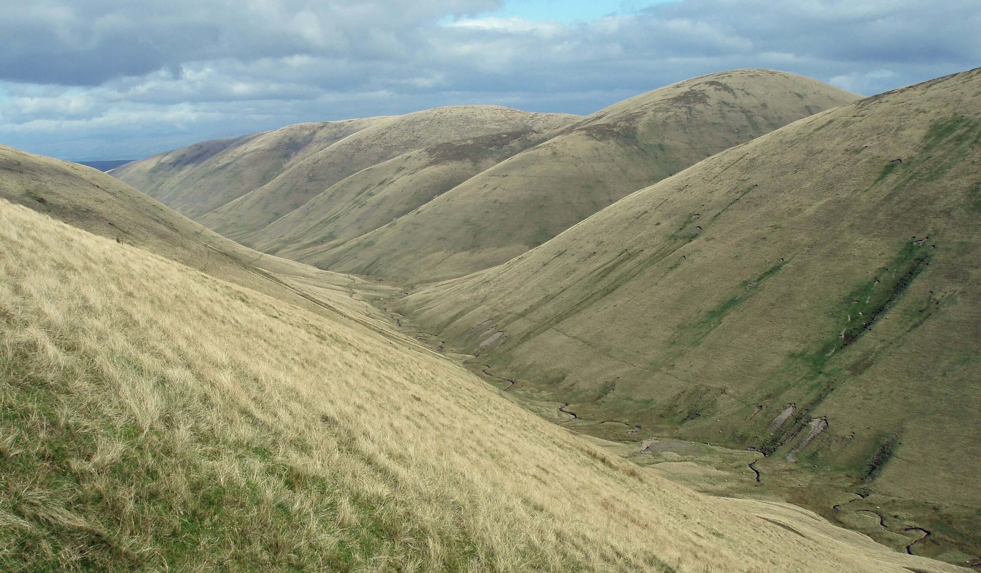 bowderdale