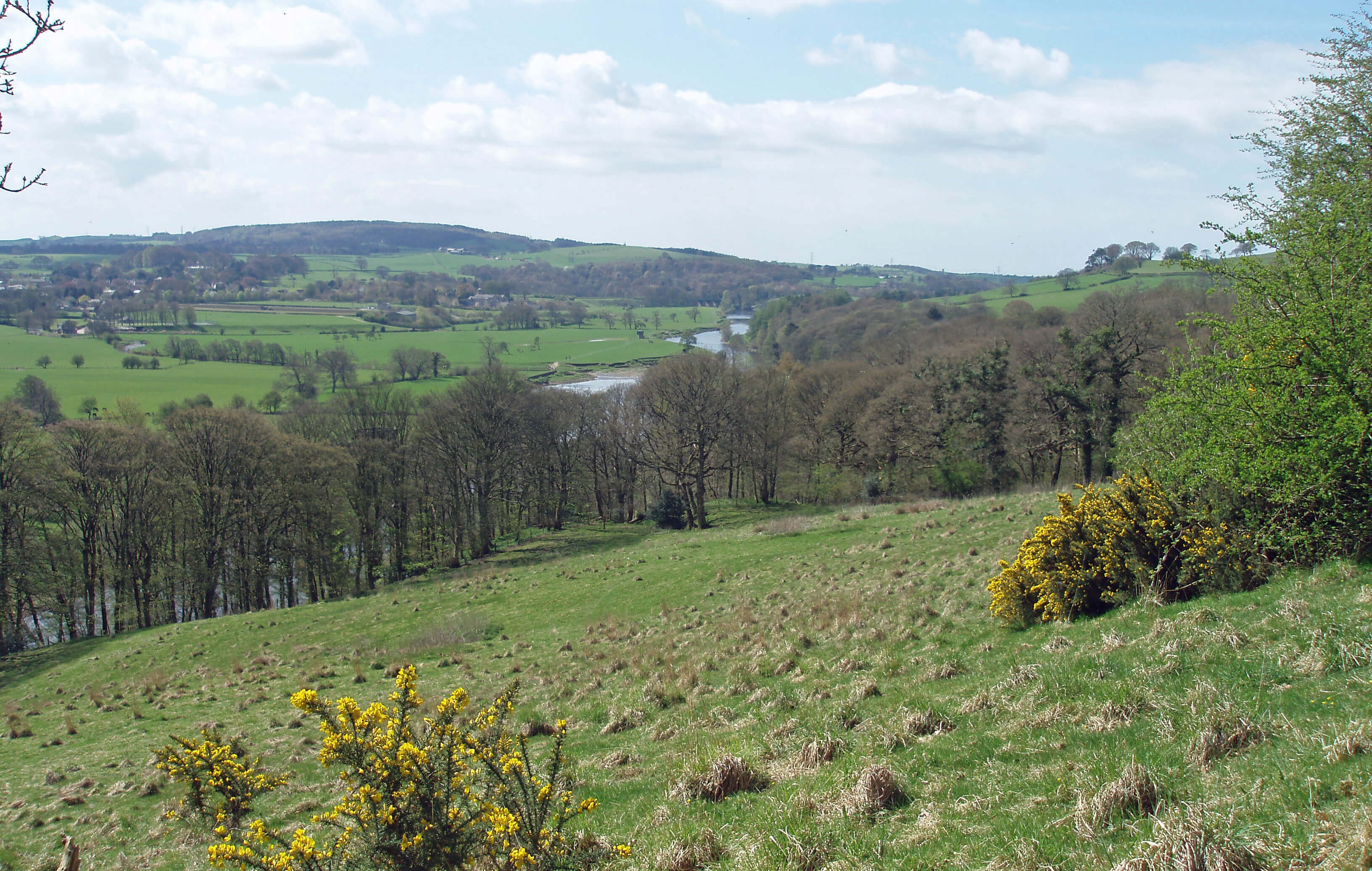 The Lune from Lawsons Wood